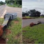 Réveillon termina com seis mortes nas BRs de Goiás e acende alerta da PRF