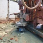 PRF apreende animais silvestres abatidos em Porangatu após denúncia