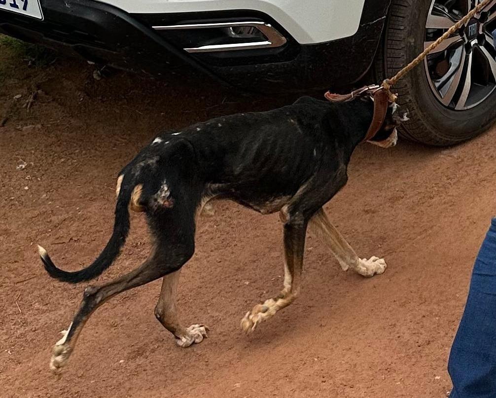 Foto: 12ª DRP de Porangatu