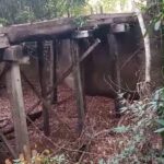 Borracheiro morto em Porangatu tentou separar briga entre padrasto e o irmão, segundo familiares