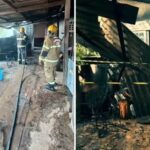 PRF prende passageiro com 20 tabletes de maconha em ônibus na BR-153, em Itumbiara