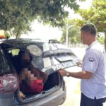 Colisão entre motocicletas deixa mulher ferida na BR-153, em Anápolis
