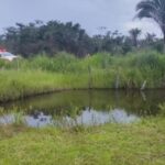 Acidente deixa mulher morta e sete feridos na BR-364, em Cachoeira Alta