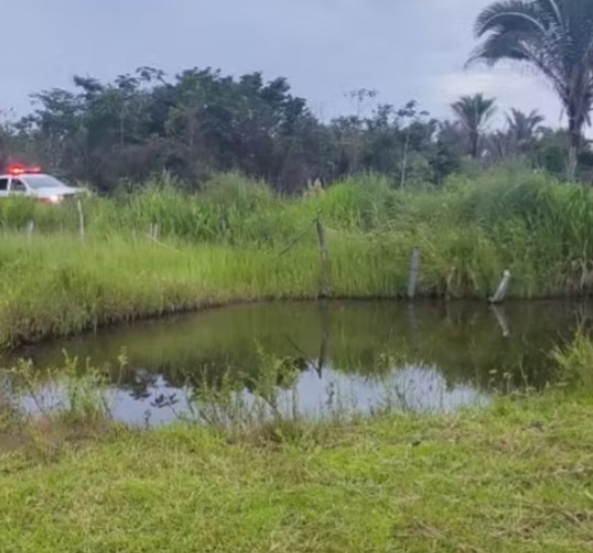 Ataque de abelhas deixa uma pessoa morta — Foto: Corpo de Bombeiros/Divulgação