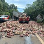 Acidente envolvendo quatro caminhões é registrado na BR-153, norte de Goiás