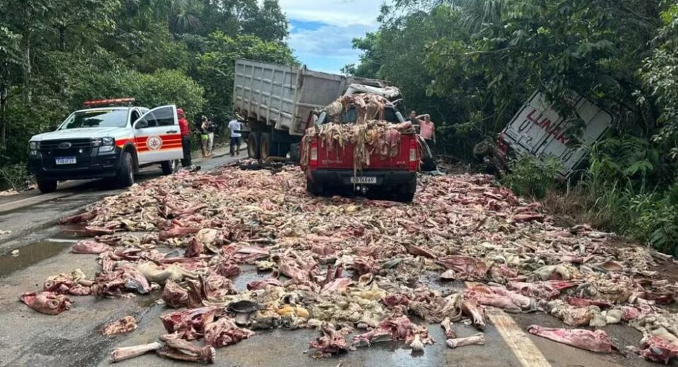 Restos de carne são espalhados pela pista após acidente na BR-010 — Foto: Matheus Dias/TV Anhanguera