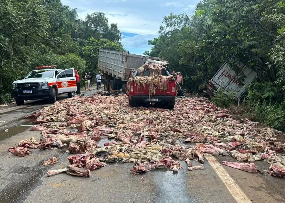 Restos de carne são espalhados pela pista após acidente na BR-010 — Foto: Matheus Dias/TV Anhanguera