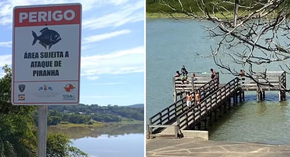 Jovens tiveram ferimentos leves no calcanhar e no dedo do pé, em Goiás — Foto: Divulgação/Corpo de Bombeiros
