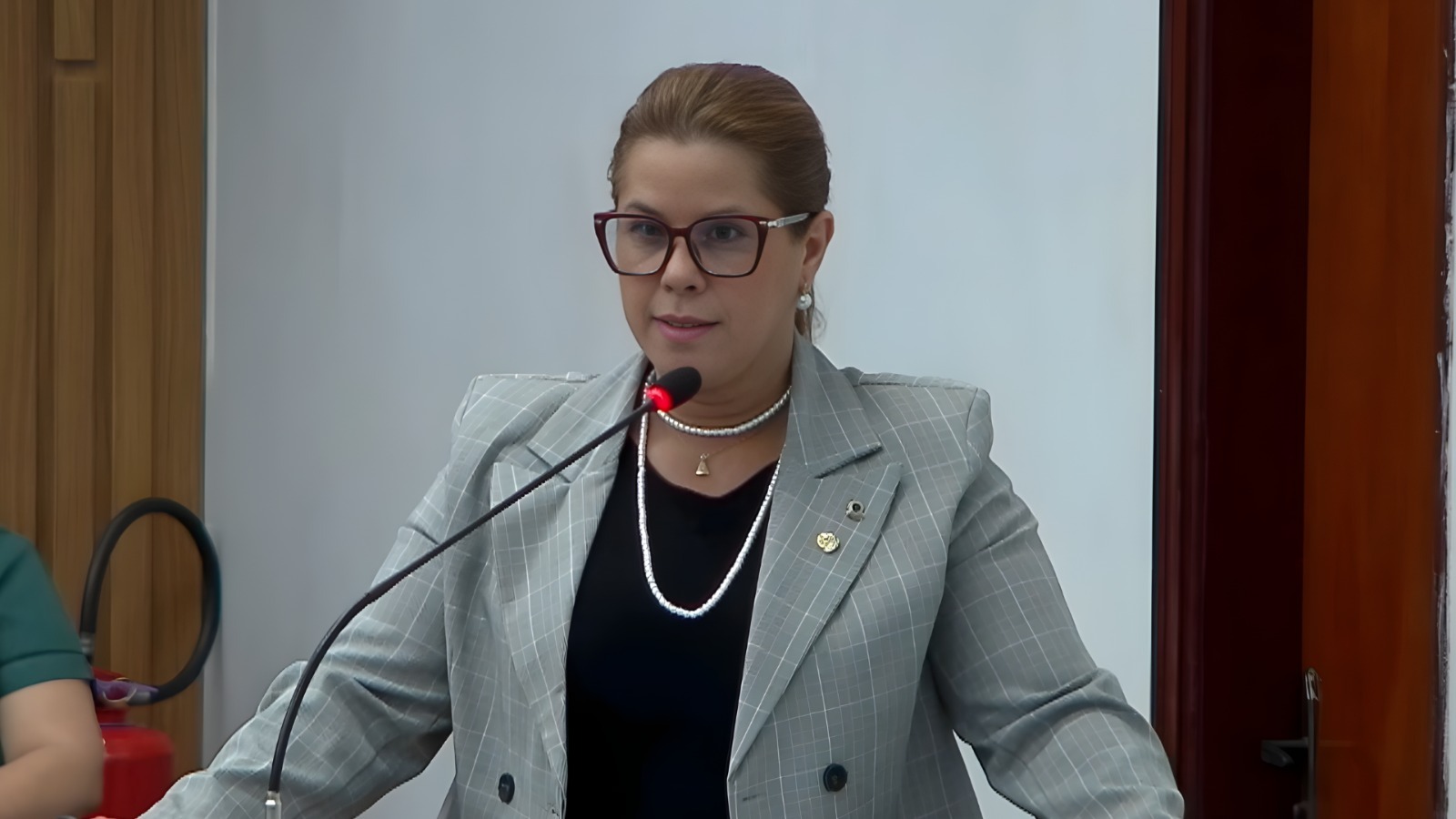 Foto: Vereadora Sandra Ferreira