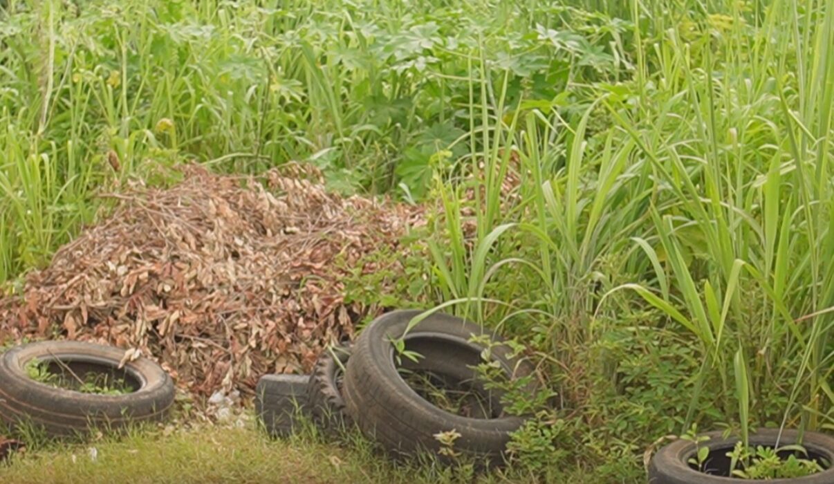 Foto: Setor Bom Sucesso em Porangatu