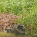 Porangatu abre 12 vagas para Bolsa-Cultural com inscrições presenciais até 26 de fevereiro