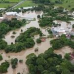 Goiano vende pequi nos Estados Unidos e faz sucesso ao levar sabores do Brasil para o exterior
