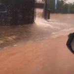 Idoso com Alzheimer é vítima de tortura dentro de casa; cuidador é investigado