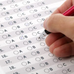 Idoso morre após ataque de abelhas em área rural no norte do Tocantins