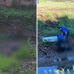 Porangatu mostra sua força cultural e consolida o Goiás Folia 2026 como referência no norte goiano