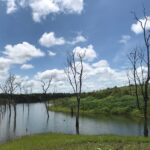 Goiás registra menor taxa de letalidade policial em quatro anos