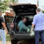 Onça-parda é resgatada pelo Corpo de Bombeiros, mas morre horas depois