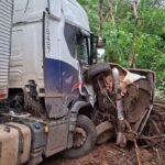 SUS oferece teleatendimento em saúde mental para mulheres vítimas de violência