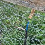 Duas pessoas morrem após furgão capotar no Tocantins