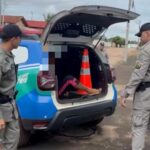 3º BPM intensifica combate ao tráfico de drogas em Porangatu