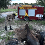Facção planejava ataques com granadas contra policiais em Rio Verde, diz polícia