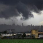 Bombeiro mata cachorro a tiros e corporação afirma legítima defesa