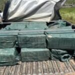 Filhas são indiciadas por planejar morte da própria mãe no sul do Tocantins