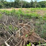 Caminhão entorta poste e provoca falta de energia em Porangatu