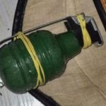 Bombeiros realizam resgate técnico de cavalo que caiu em fossa séptica em Porangatu