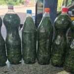 Casal é preso suspeito de tráfico de drogas em Niquelândia