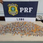 PRF apreende cerca de 60 kg de skunk e prende jovem por tráfico na BR-060