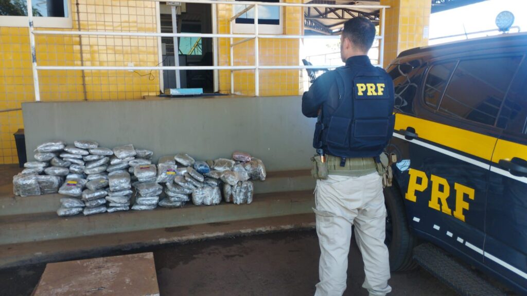 PRF apreende cerca de 60 kg de skunk e prende jovem por tráfico na BR-060