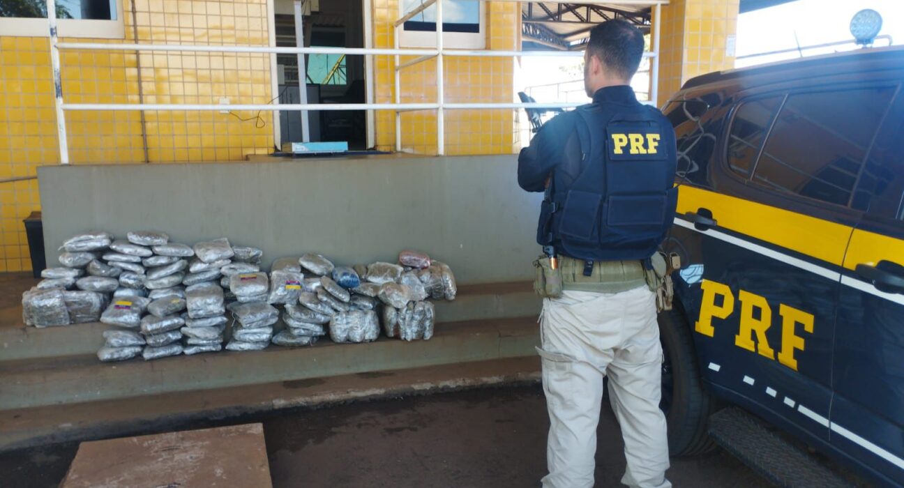 PRF apreende cerca de 60 kg de skunk e prende jovem por tráfico na BR-060