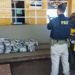 PRF realiza maior apreensão de medicamentos para emagrecimento em Goiás