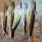 Prefeitura de Minaçu abre concurso com salários de até R$ 21,7 mil