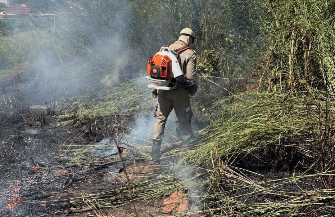 Corpo de Bombeiros atende ocorrência de incêndio em área de mata no Jardim Brasília