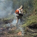 Polícia Militar cumpre reintegração de posse em propriedade rural de Minaçu