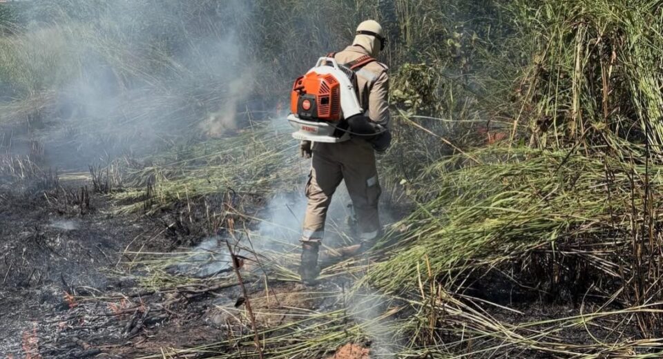 Corpo de Bombeiros atende ocorrência de incêndio em área de mata no Jardim Brasília