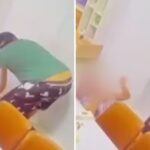 Turistas pescam peixe gigante proibido para consumo e tratam captura como troféu