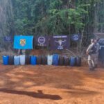 PRF apreende meia tonelada de cocaína escondida em carga de milho em Goiás