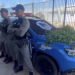 Homem é preso por descumprir medida protetiva em Montividiu do Norte