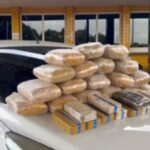 Idoso é preso após suspeita de provocar queimada às margens da BR-153 no Tocantins
