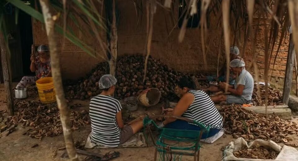 Quebradeiras de coco no Tocantins — Foto: ASMUBIP/Divulgação