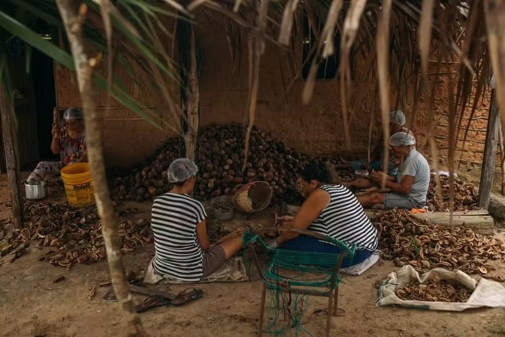 Quebradeiras de coco no Tocantins — Foto: ASMUBIP/Divulgação