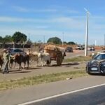 Homem é agredido por PM dentro de casa e sofre fratura na coluna