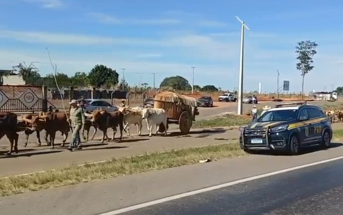 Foto: Polícia Rodoviária Federal