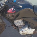 Motorista morre após perder o controle da caminhonete e bater em árvore na BR-153