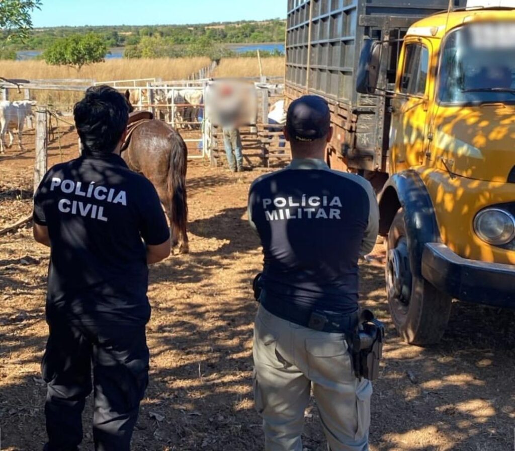 Polícias Civil e Militar recuperam parte de animais furtados em propriedade rural de São Miguel do Araguaia