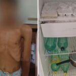 Denúncia de maus-tratos a animal resulta em homem conduzido a delegacia em Porangatu