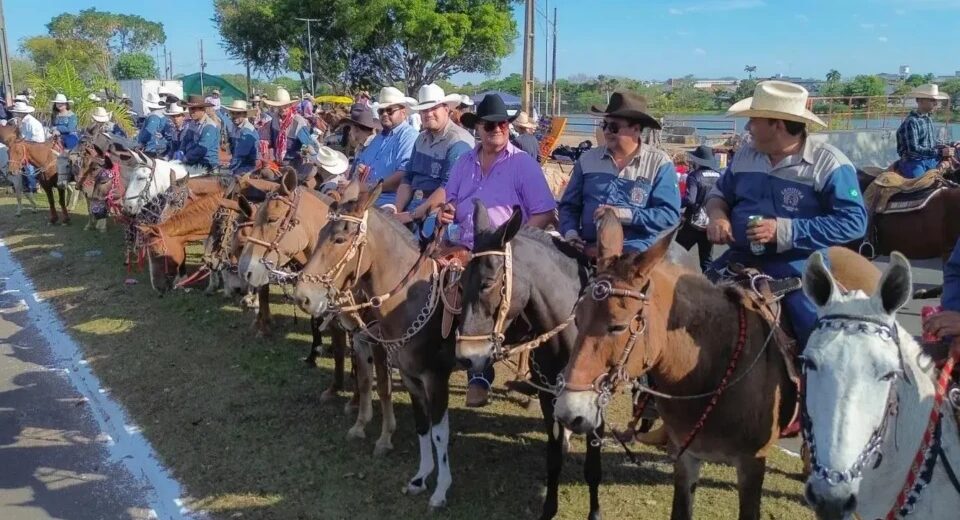 Foto/Reprodução